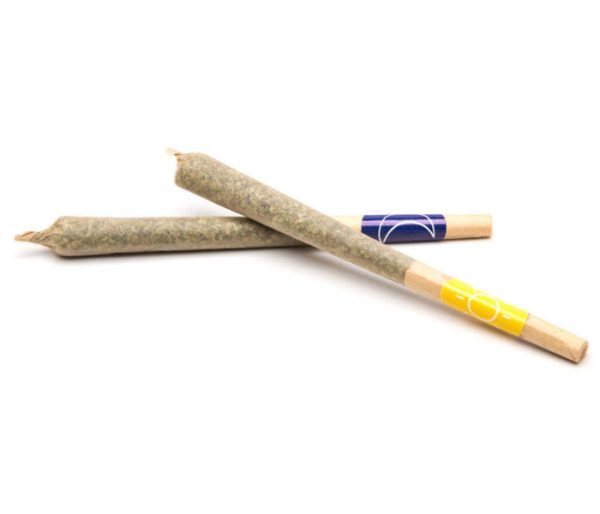 Pre-Rolled Joints for sale in Bali