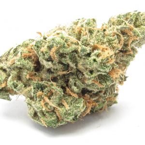 Buy Blue Dream Online in Bali