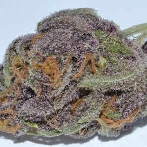 Buy Grand Daddy Purple in Bali